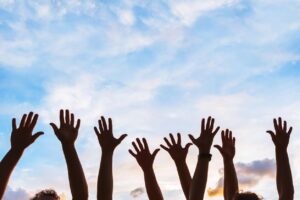 non profit organization